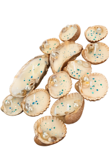 Conchas marinas