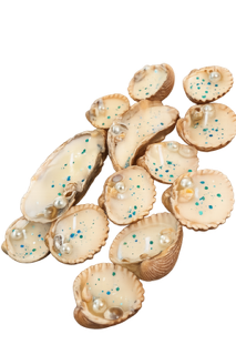 Conchas marinas